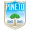 Pineto