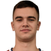 Manojlovic N.