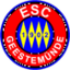Geestemuende