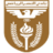 Al Nasr