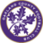 Oakland County FC