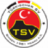 Turkischer SV Singen