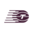 Toronto Tempo