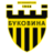 Bukovyna Chernivtsi