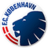 FC Copenhagen U17