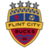 Flint City Bucks