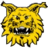 Tampereen Ilves W