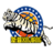 Xinjiang Flying Tigers