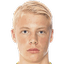 Vilmer Ronnberg