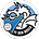 FC Den Bosch