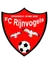 Rijnvogels