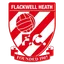 Flackwell Heath FC